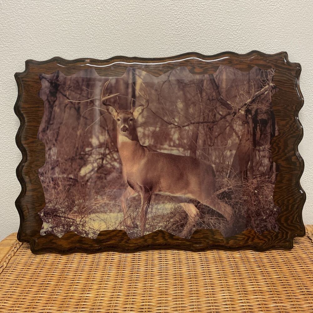 Vtg Lacquer Wood Wall Hanging Picture Lacquered Whitetail Deer Nature Man Cave
